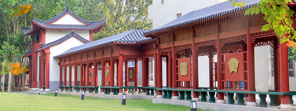 首页图3